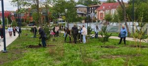 «Акция «Сад памяти» Избирком Рязань