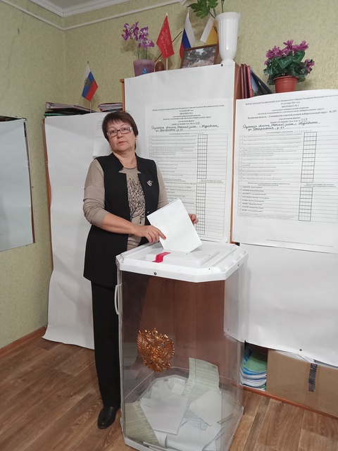 Избирательная система в лицах Рязань