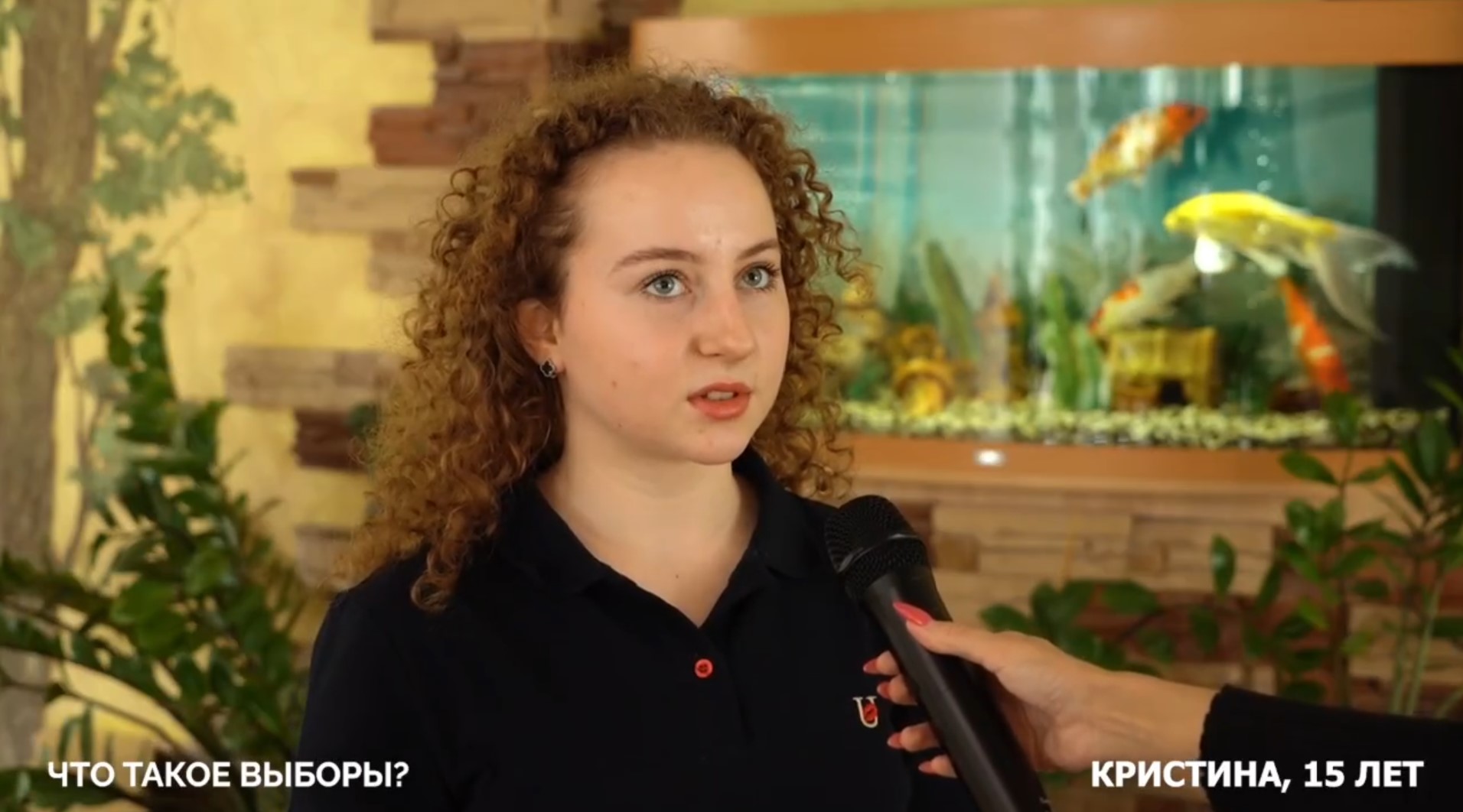 Что такое выборы?