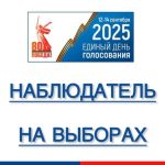 Наблюдатель на выборах