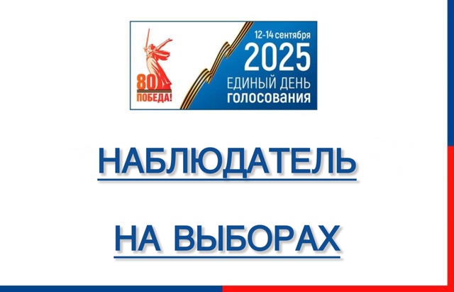 Наблюдатель на выборах
